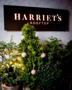 Harriets Rooftop in Toronto with CN Tower and Skyline Views